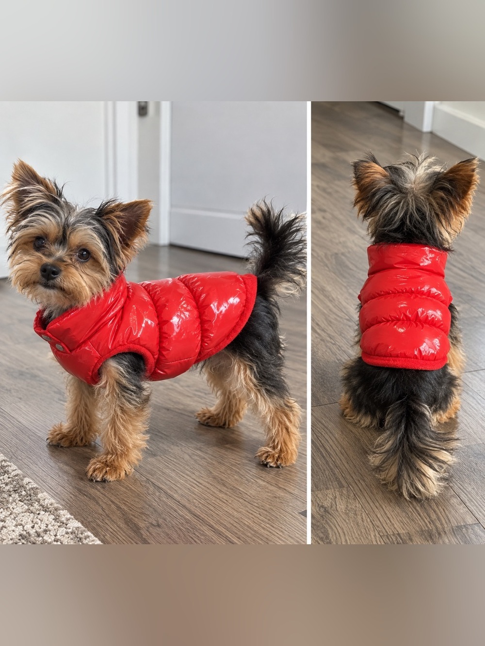 New Red Puffer Dog Jacket Coat Size M | Warm Winter Pet Vest